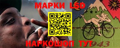 шишки Гатчина