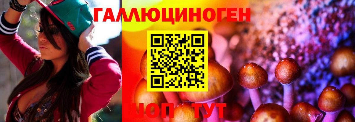 Галлюциногенные грибы MAGIC MUSHROOMS Нижний Новгород